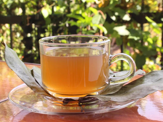 Benefits Of SourSop Tea